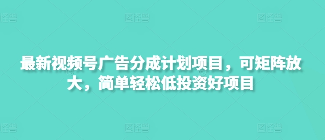 最新视频号广告分成计划项目，可矩阵放大，简单轻松低投资好项目-多米联创