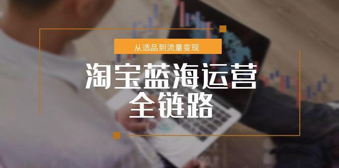 淘宝蓝海运营全链路，从选品到流量变现，小类目突围完整方案-58创客网