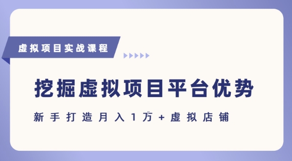 抓住虚拟项目各平台优势，新手轻松月入1W+(给出具体建议)-58创客网