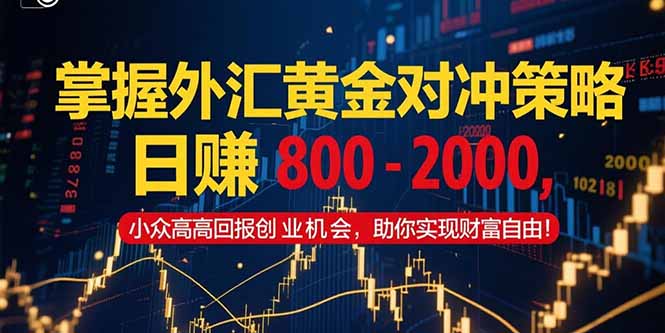 掌握外汇黄金对冲策略，日赚 800 – 2000，小众高回报创业机会，助你实…-58创客网