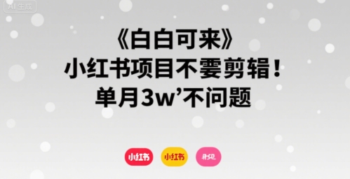 小白可来 小红书项目不需要剪辑 单月3w不是问题-58创客网