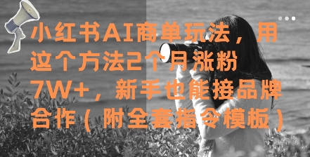 小红书AI商单玩法，用这个方法2个月涨粉7W+，新手也能接品牌合作(附全套指令模板)-多米联创