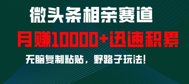 微头条相亲赛道，迅速积累，无脑复制粘贴，野路子玩法，月入1w-多米联创