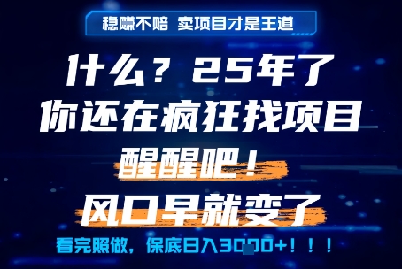 什么？25年你还在疯狂找项目做，醒醒吧，看完这些你全都懂了！【揭秘】-多米联创