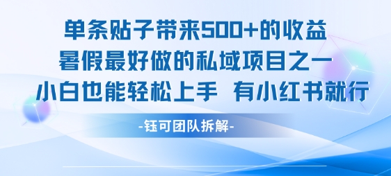 单条贴子带来5张的收益，暑假最好做的私域项目之一，小白也能轻松上手，有小红书就行-多米联创