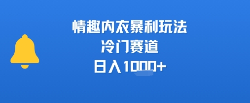 情趣内衣暴利玩法，冷门赛道，日入1k+-58创客网