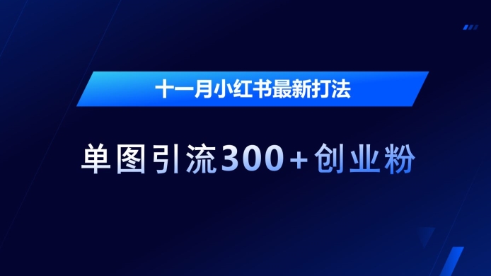 十一月小红书最新打法，单图引流300+创业粉【揭秘】-58创客网