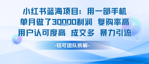 小红书蓝海项目，一部手机单月做了3W利润，小白也能月入过1W用户认可度高成交多-58创客网