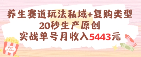 养生赛道玩法私域+复购类型，20秒生产原创实战单号月收入5k+-58创客网