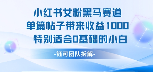 小红书女粉黑马赛道单篇帖子带来收益1k+，特别适合0基础的小白-58创客网