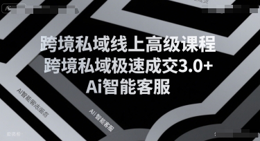 跨境私域线上高级课程，跨境私域极速成交3.0+Ai智能客服-58创客网