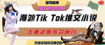 海外tiktok小说推文暴力项目，高停留率，高转化率，上手后一天搞顿饭钱不是问题-多米联创