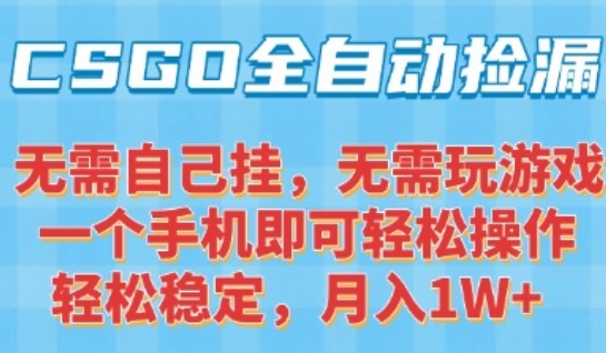 CSGO自动捡漏项目，最新独家玩法，一个手机可操作，新手小白轻松月入1W+，操作简单易上手【揭秘】-多米联创