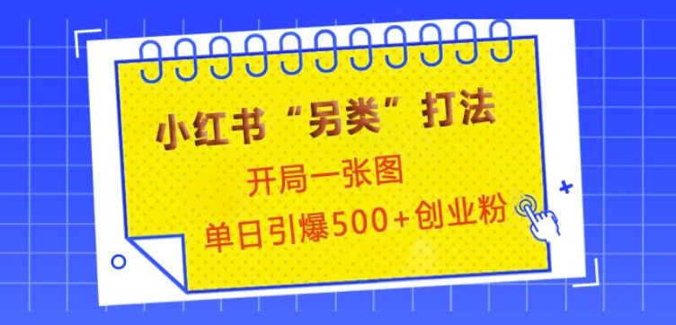 小红书“另类”打法，开局一张图，单日引爆500+精准创业粉【揭秘】-58创客网