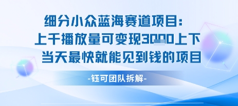 小众蓝海赛道项目：当天变现1k+适合新手操作 +适合长期玩-58创客网