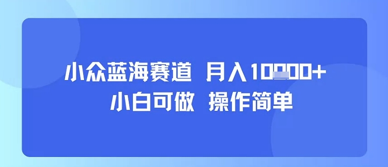 小众蓝海赛道，小白可做，操作简单，每天30分钟，月入1W+-58创客网