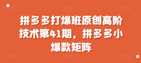拼多多打爆班原创高阶技术第41期，拼多多小爆款矩阵-多米联创