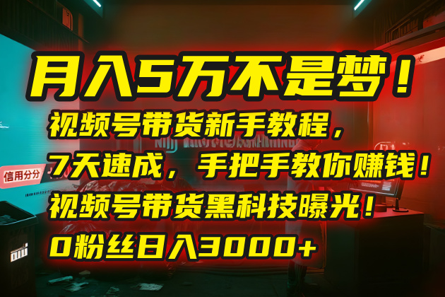 月入5万不是梦！视频号带货新手教程，7天速成，手把手教你赚钱！视频号…-多米联创