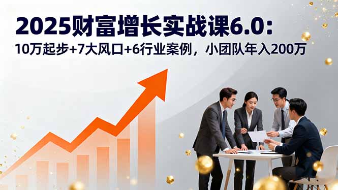 2025财富增长实战课6.0：10万起步+7大风口+6行业案例，小团队年入200万-多米联创