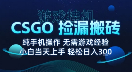 8月最新游戏搬砖，CSGO纯挂G，不需要玩游戏，实现真挂G，月入1W+【揭秘】-58创客网