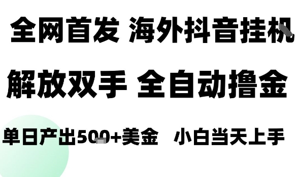 海外抖音无人直播，单日产出1.5k+，长期稳定，新手可玩，无脑操作【揭秘】-多米联创
