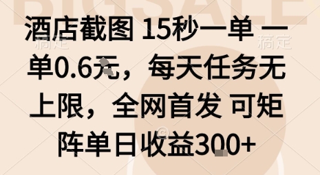酒店截图15秒一单，一单0.6米，每天任务无上限，全网首发可矩阵单日收益3张【揭秘】-多米联创