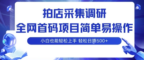 拍店采集调研，全网首码项目，简单易操作， 小白也能轻松上手，多账号操作，轻松日入5张【揭秘】-58创客网