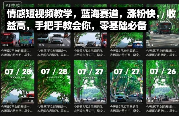 情感短视频教学，蓝海赛道，涨粉快，收益高，手把手教会你，零基础必备-58创客网