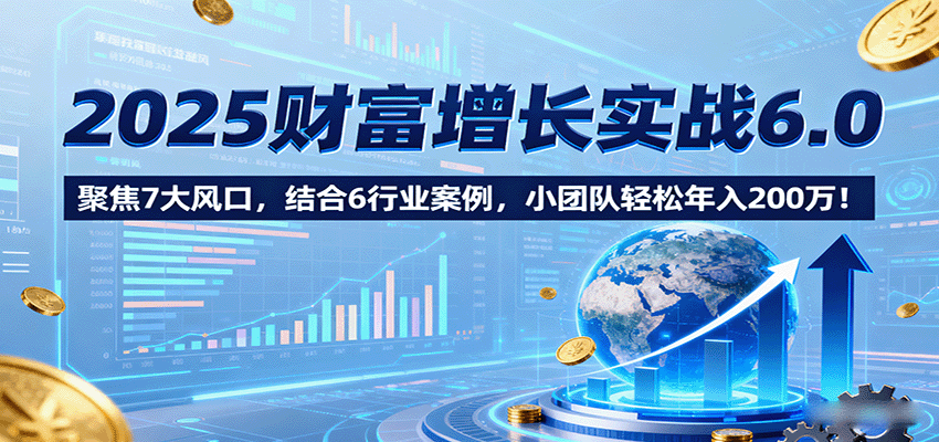 2025财富增长实战6.0，聚焦7大风口，结合6行业案例，小团队轻松年入200万！-多米联创