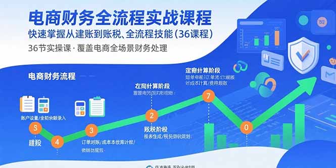 电商财务全流程实战课程：快速掌握从建账到报税的全流程技能(36节课-多米联创