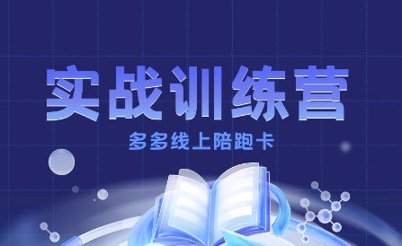 多多实战训练营，从0到1打造一个真正賺钱的店铺-多米联创
