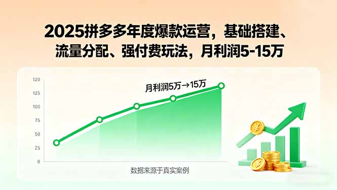 2025拼多多年度爆款运营，基础搭建、流量分配、强付费玩法，月利润5-15万-58创客网