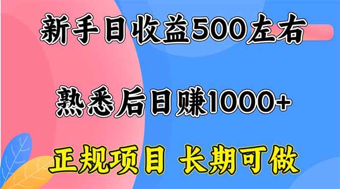新手日收益500+ 正规项目 长期可做-多米联创