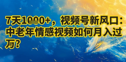 7天收益1k+，视频号新风口：中老年情感视频如何月入过W?-58创客网