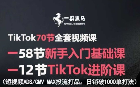 TikTok全套视频课，新手入门+进阶课，短视频ADS-GMV MAX投流打品，日销破1000单打法-58创客网