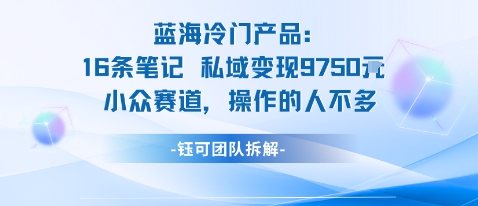 蓝海项目：16条笔记私域变现9750米小众赛道操作的人不多-58创客
