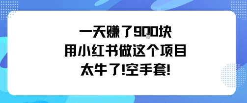 一天挣了9张用小红书做这个项目太牛了，空手套-58创客网