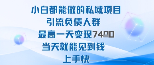 2025年小白都能做的私域项目引流负债人群最高一天变现1k+高变现难度低当天就能见到钱上手快-多米联创