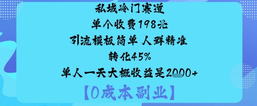 私域冷门赛道:单个收费198米引流模板简单人群精准转化45%单人一天大概收益是1k+-58创客
