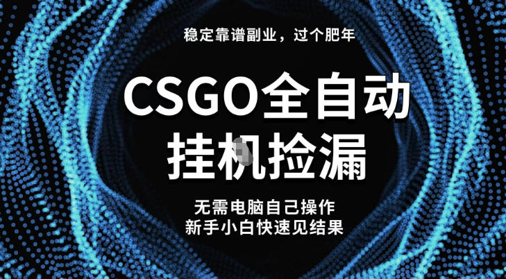 【稳定副业】全球最热门游戏CSGO全自动捡漏，最新玩法，新手小白日入5张+【揭秘】-申水仓