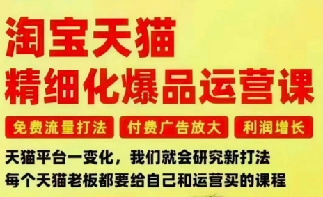 淘宝天猫精细化爆品运营课,免费流量打法-付费广告放大-利润增长-三大核心痛点,一次全部解决-申水仓