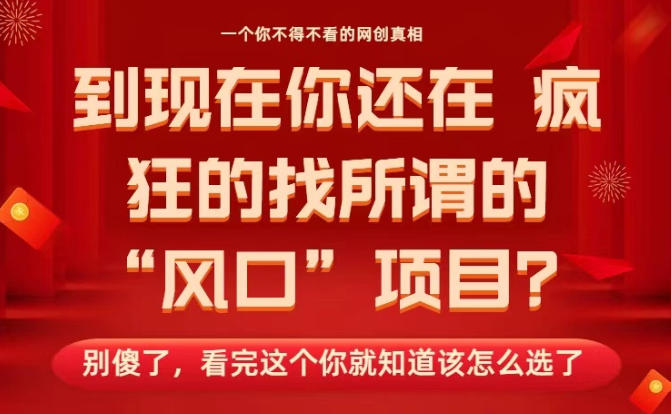 马上26年了，你还在找所谓的风口项目？别傻了，看完这个你全都懂了！【揭秘】-申水仓