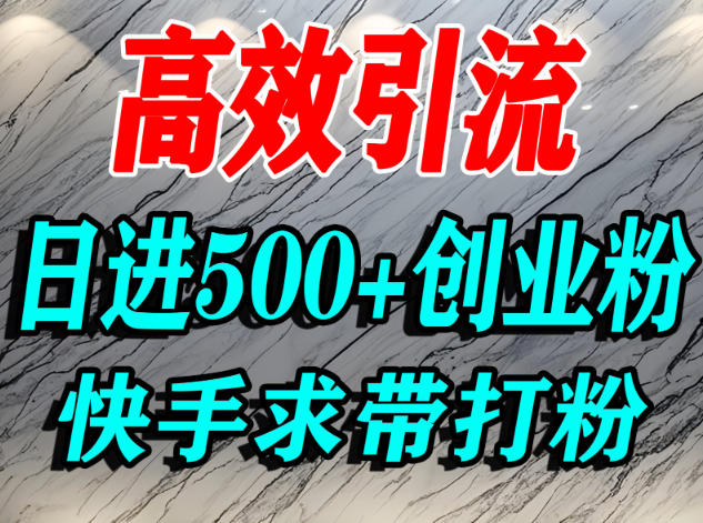 怎么打创业粉?快手求带视角精准引流创业粉,宝妈、学生群体日进500+精准流量-申水仓