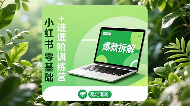 小红书零基础+高阶训练营:安全养号、爆款拆解、长效运营,实现稳定涨粉与变现-多米联创