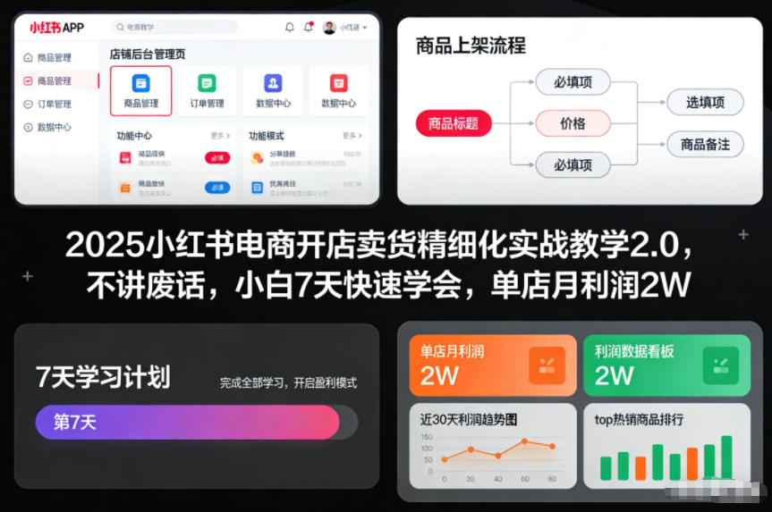 2025小红书电商开店卖货精细化实战教学2.0，不讲废话，小白7天快速学会，单店月利润2W-多米联创