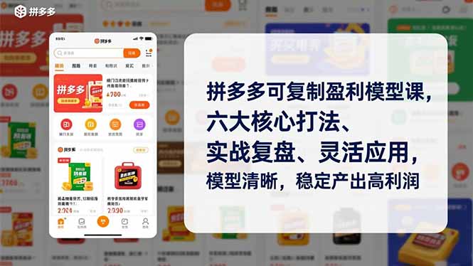 拼多多可复制盈利模型课，六大核心打法、实战复盘、灵活应用，模型清晰，稳定产出高利润-多米联创