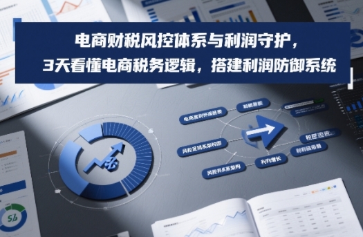 电商财税风控体系与利润守护，3天看懂电商税务逻辑，搭建利润防御系统-58创客