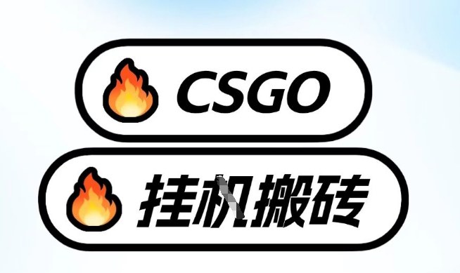 真全网独家CSGO挂G，最新玩法,单日捡漏1K+，不用电脑，不用打游戏【揭秘】-58创客