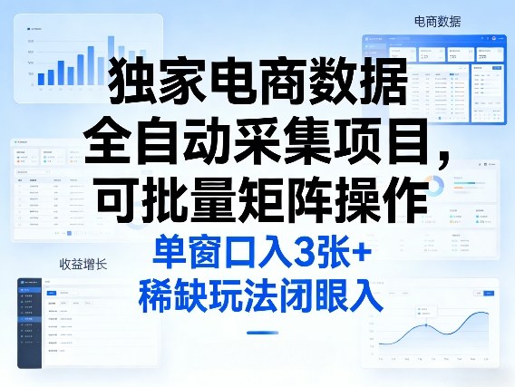 独家电商数据全自动采集项目，可批量矩阵操作，单窗口日入3张+，稀缺玩法闭眼入【揭秘】-58创客