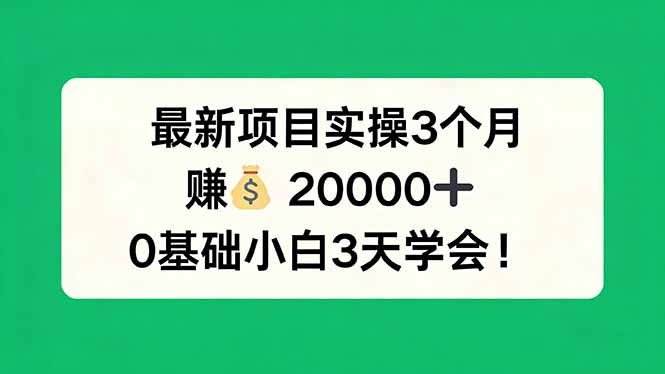 最新项目实操3个月，赚钱20000+，0基础小白3天学会！-58创客